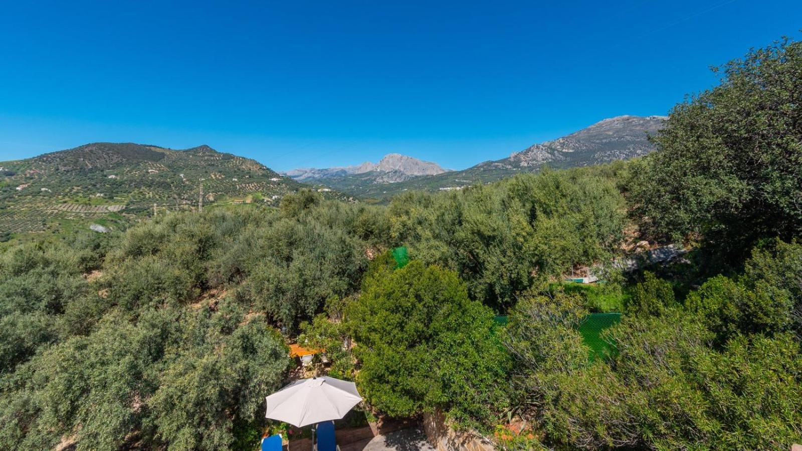 Casa Ana Maria Periana By Ruralidays Villa Dış mekan fotoğraf
